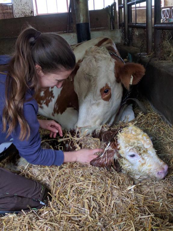 Séjour à la ferme Maurachbauer *